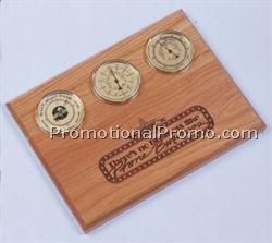 Wall Weather Station (9