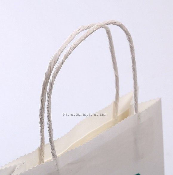 Custom Paper Bag Photo 2