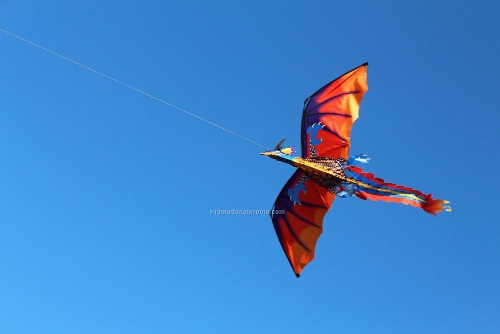 Dragon kite Photo 2