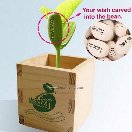 DIY Magic Bean with wishes for Bonsai Green Office Home Decoration Photo 3