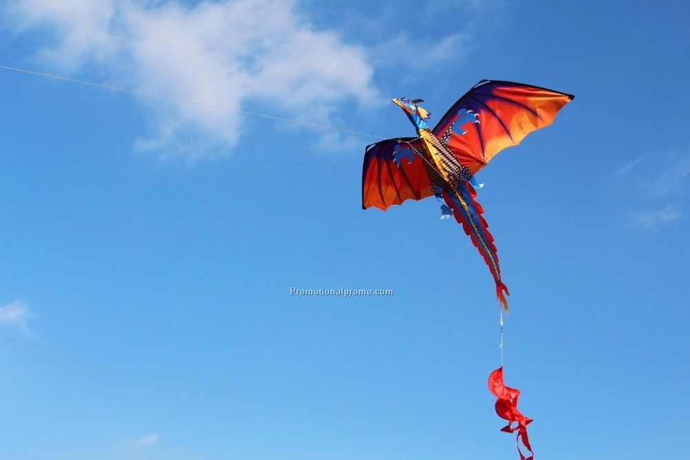 Dragon kite Photo 3