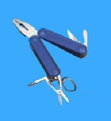Multifunctional tool