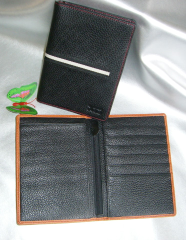 Passport holder