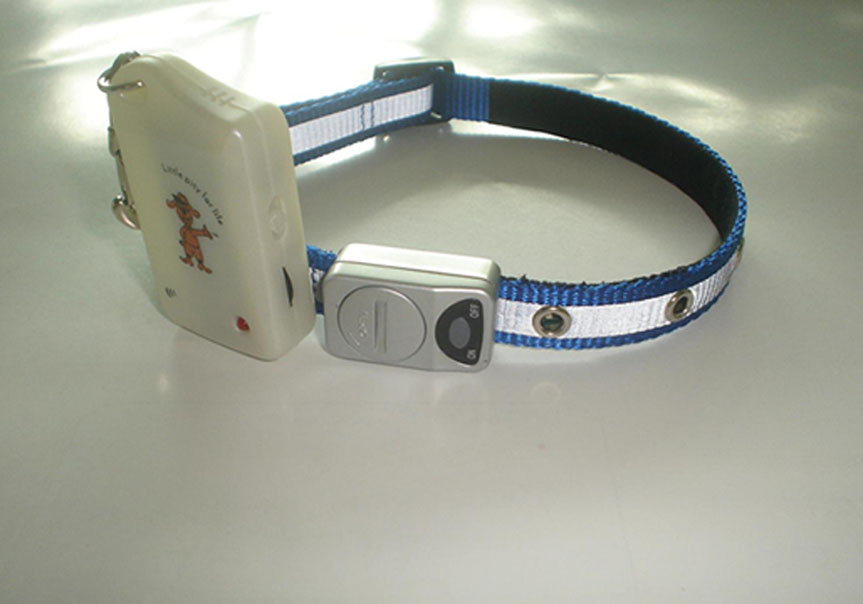 Pet lost-prevention alarm