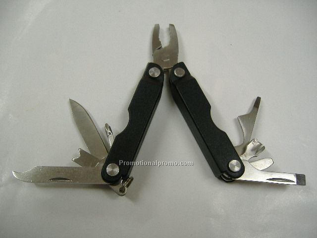 Multifunctional tool