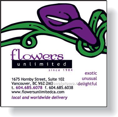 .020 Stock Shape Magnet *Special / Square