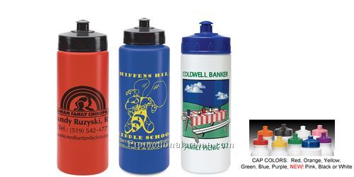 16 OZ SPORTS BOTTLE WITH PUSH-PULL CAP