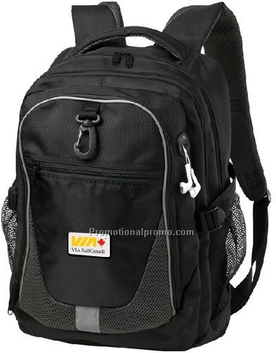 Domain Computer Backpack