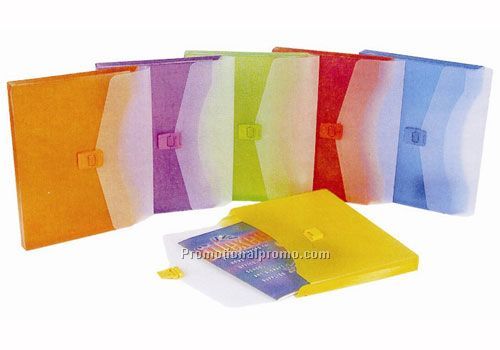 Expanding Portfolio - Letter Size: 12