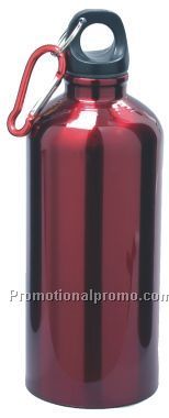 NEW Stainless Steel Water Bottle with Pull-Up Spout