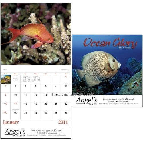 Ocean Glory - Stapled