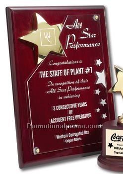 Piano Finish Plaque with Star - 9"x 12"