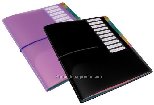 Project File, 10 Tab Cover Insertable Index