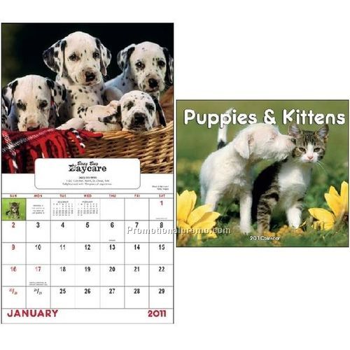 Puppies & Kittens - Window