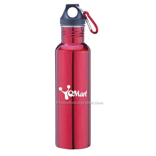 Stainless Steel Bottles