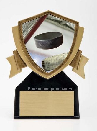 3-D Extreme Resin Shield Award