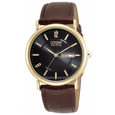 Citizen Eco-Drive Gent's-Stainless Steel Gold-Tone
