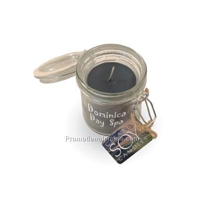 Macintosh Apple/Red Clearly Soy Candle