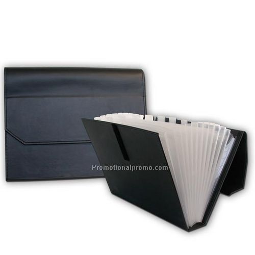 Multi-File Accordian Folder