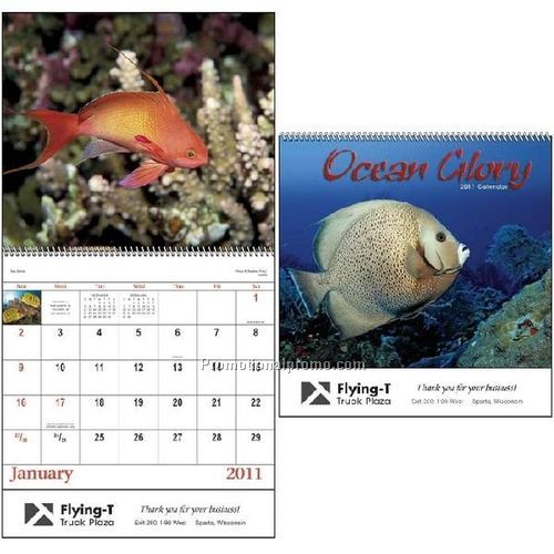 Ocean Glory - Spiral