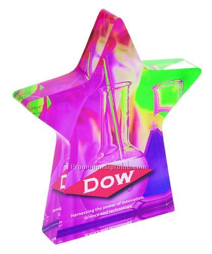 PhotoImage44576Standing Star Award