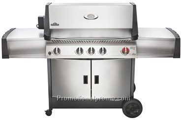 Prestige II Series - Natural Gas - PT600RBIN