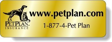 Stock Shape Brite Gold Foil Paper Roll Labels - Rectangle with round corners