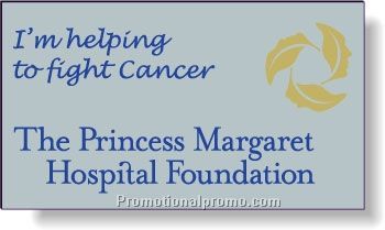 .020 Silver Matte Magnetic Business Cards / square corners