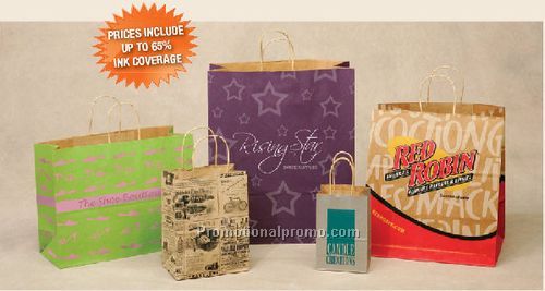 1037920x 537920x 1337920Brown Kraft Paper Bags - 2 Color