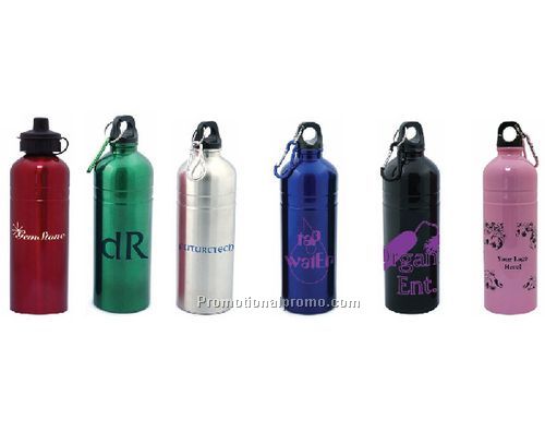 25 oz. Stainless Steel Sports Bottle