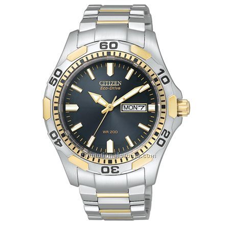 Citizen Eco-Drive Gent's -Two-Tone