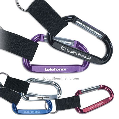 Clip-And-Go Carabiner Key Tag