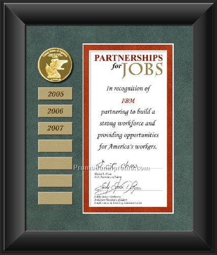 Medallion Framing - 13 x 16