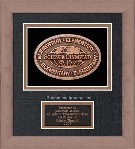 Medallion Framing - 9 x 11