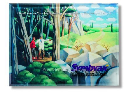 PhotoImage44576Plaque 9