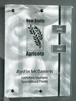 Pilaster Style Award 9