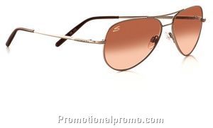Small Aviator - Champagne Frame Drivers Gradient Lens