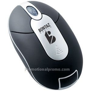 Wireless Storage Mouse
