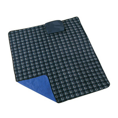 Combination Blanket/Case