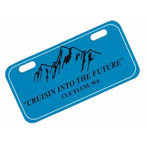 Mini License Plate