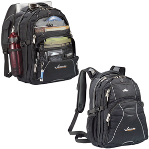 High Sierra Swerve Compu-Backpack