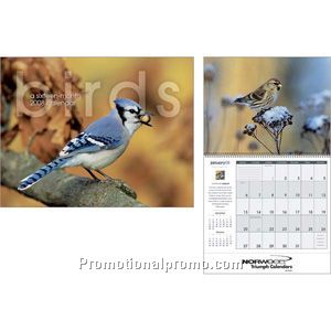 Birds 16 Month Calendar