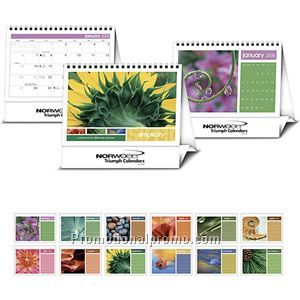 Simplicity Large Desk