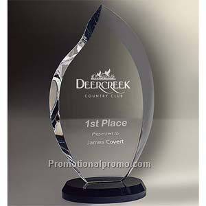 Innovation Award - Large