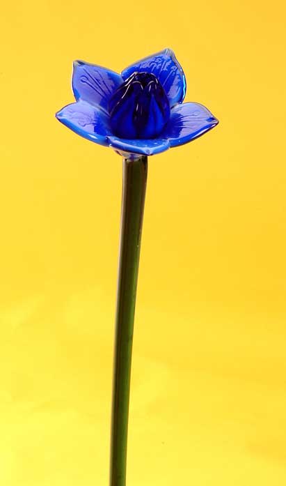 Glass flower 
  
   
     
    
