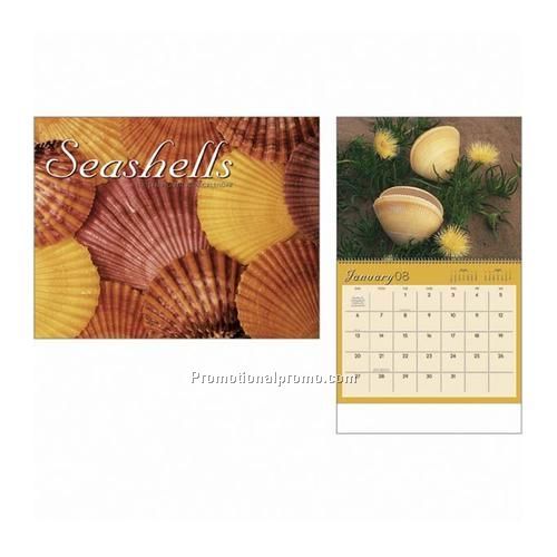 Calendars - Seashells