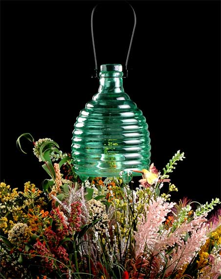 color sprayed glass bug catcher
  
   
     
    