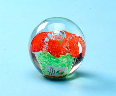 glass paper weight
  
   
     
    