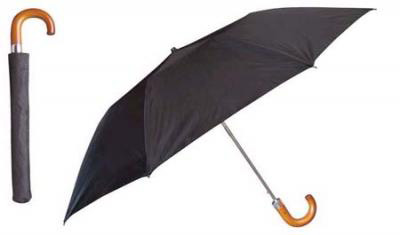 Folding Hook Umbrella