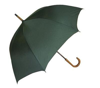 Corporate Hook Handle Rain Umbrella